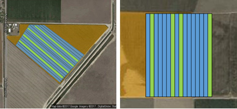 Birdseye view of furrow irrigated Field #1 (left) and drip irrigated Field #2 (right). Plant samples were collected from the green highlighted plots. Madras, Oregon. © 2018 Google LLC, used with permission.