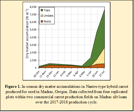 Figure 1. In-season dry matter accumulations in Nantes-type hybrid carrot produced for seed in Madras, Oregon. Data collected from four replicated plots within two commercial carrot production fields on Madras silt loam over the 2017-2018 production cycle.